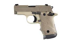 SIG P238