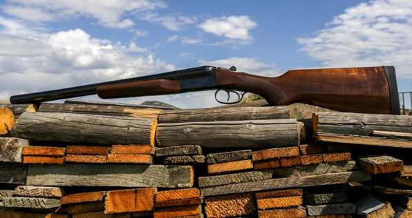 Stoeger Coach Gun