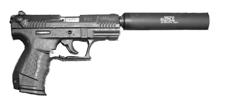 Walther p22