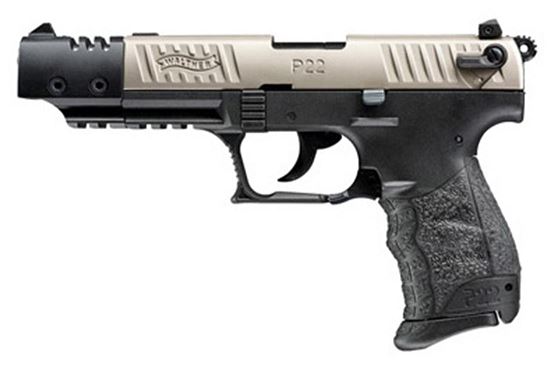 P22 Target