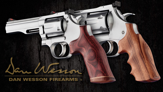 Dan Wesson Grips