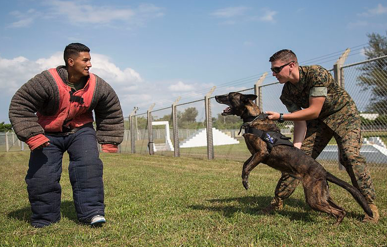 Military Dog Training facility