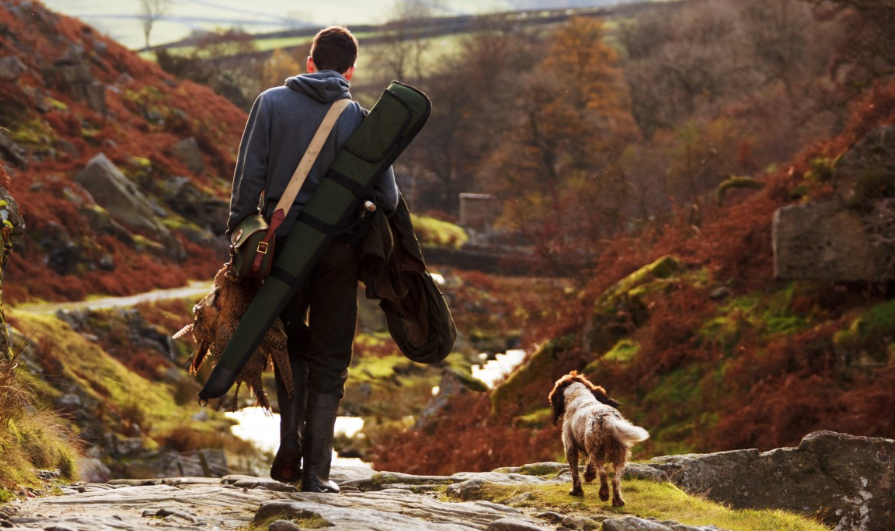 Man and hunting dog